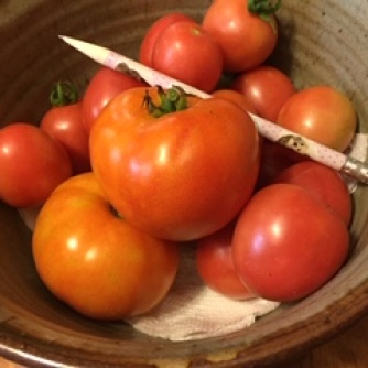 BOWL OF 3 KINDS OF TOMATOES